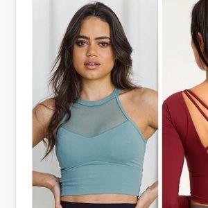 Astoria Activewear - Mesh Sports Crop